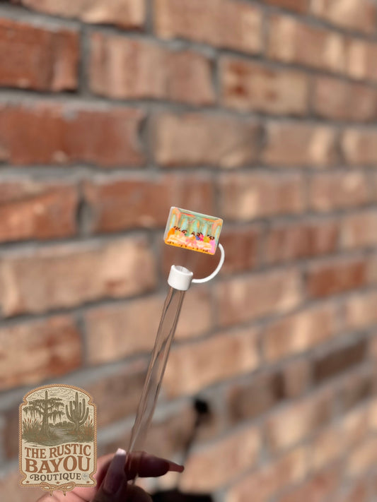 Straw Topper